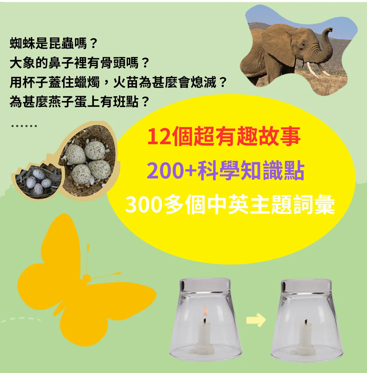 科學繪本好好玩-點讀圖書