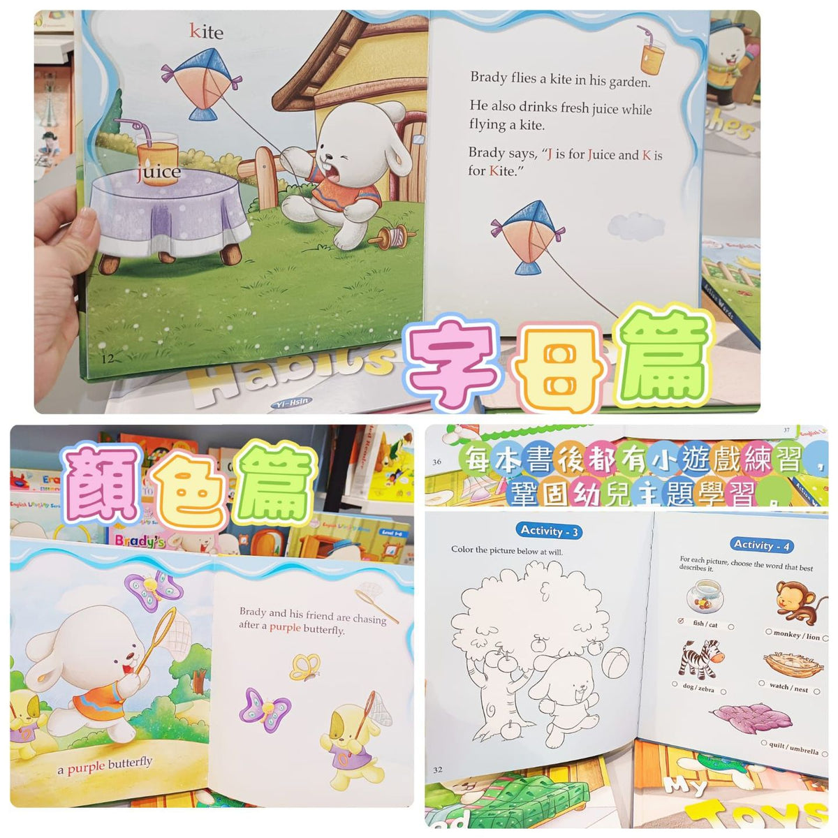 Brady's World 小白兔布萊迪