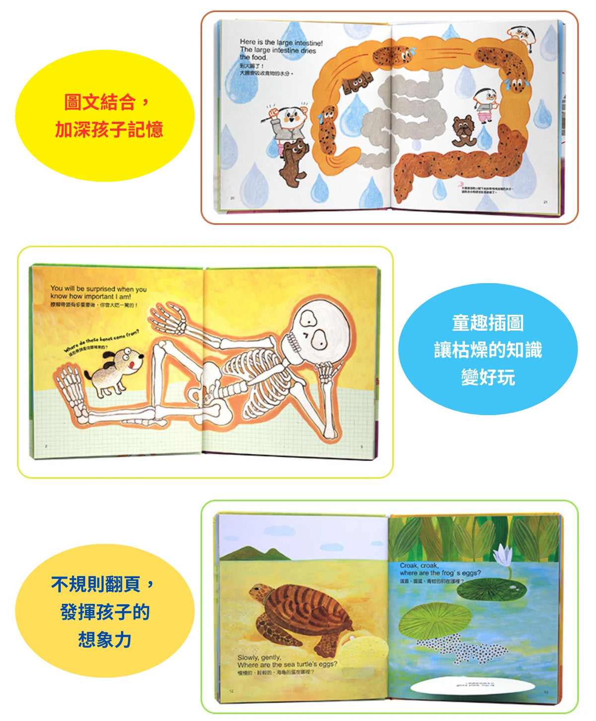 科學繪本好好玩-點讀圖書