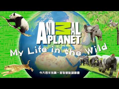 粵中英三語點讀-動物星球：我的野外生活My Life in the Wild